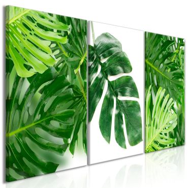 Πίνακας - Palm Leaves (3 Parts) 120x60