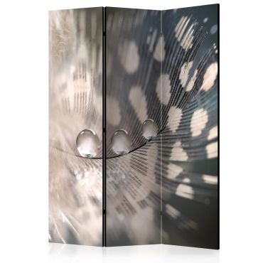 Room Divider - Elegant Feather [Room Dividers] 135x172