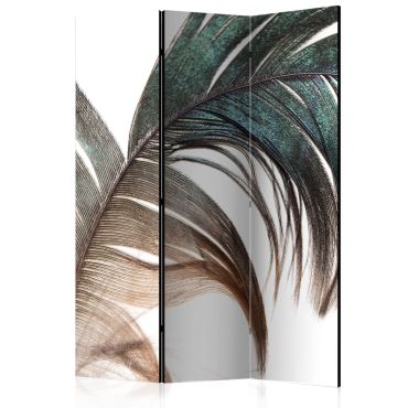 Room Divider - Beautiful Feather [Room Dividers] 135x172