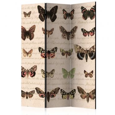 Διαχωριστικό με 3 τμήματα - Retro Style: Butterflies [Room Dividers] 135x172