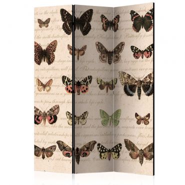 Room Divider - Retro Style: Butterflies [Room Dividers] 135x172