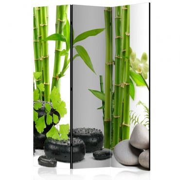 Room Divider - Bamboos and Stones [Room Dividers] 135x172