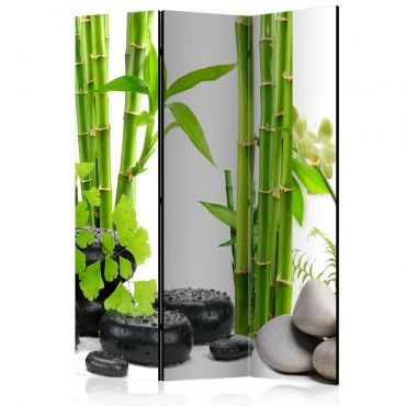 Διαχωριστικό με 3 τμήματα - Bamboos and Stones [Room Dividers] 135x172