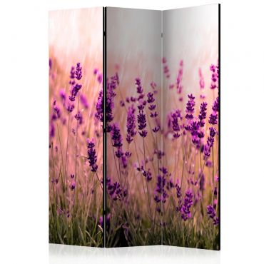 Διαχωριστικό με 3 τμήματα - Lavender in the Rain [Room Dividers] 135x172
