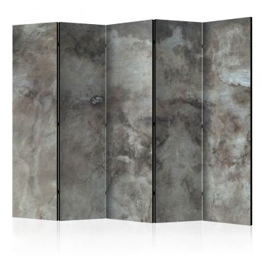 Διαχωριστικό με 5 τμήματα - Hail Cloud II [Room Dividers] 225x172