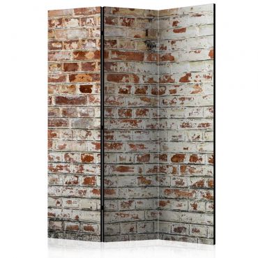 Room Divider - Walls of Memory [Room Dividers] 135x172