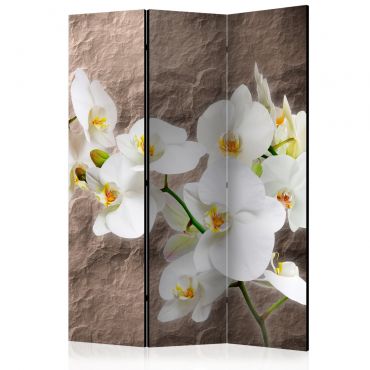 Διαχωριστικό με 3 τμήματα - Impeccability of the Orchid [Room Dividers] 135x172