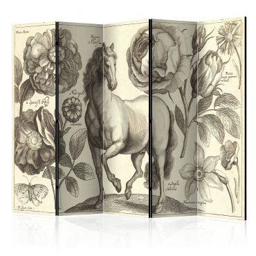 Room Divider - Horse II [Room Dividers] 225x172