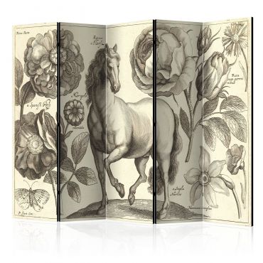 Διαχωριστικό με 5 τμήματα - Horse II [Room Dividers] 225x172