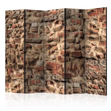 Διαχωριστικό με 5 τμήματα - Ancient Wall II [Room Dividers] 225x172