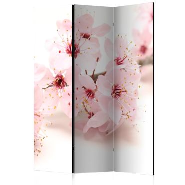 Διαχωριστικό με 3 τμήματα - Cherry Blossom [Room Dividers] 135x172