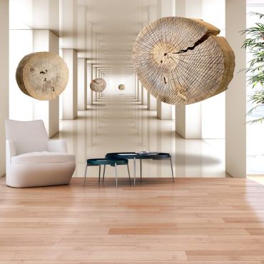 Φωτοταπετσαρία - Flying Discs of Wood