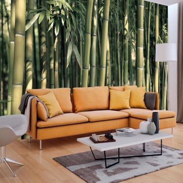 Φωτοταπετσαρία - Bamboo Exotic