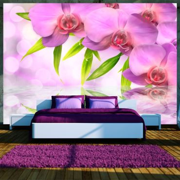 Φωτοταπετσαρία - Orchids in lilac colour