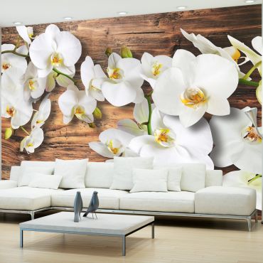 Wallpaper - Forest Orchid