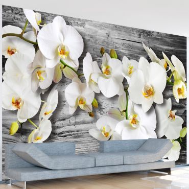Φωτοταπετσαρία - Callous orchids III