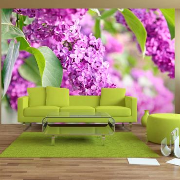 Φωτοταπετσαρία - Lilac flowers