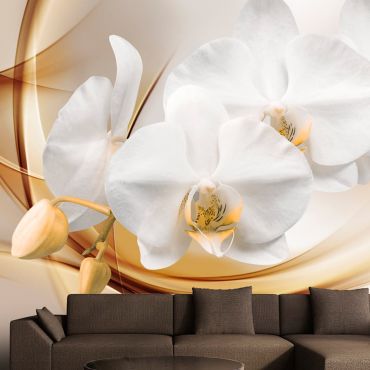 Φωτοταπετσαρία - Orchid blossom