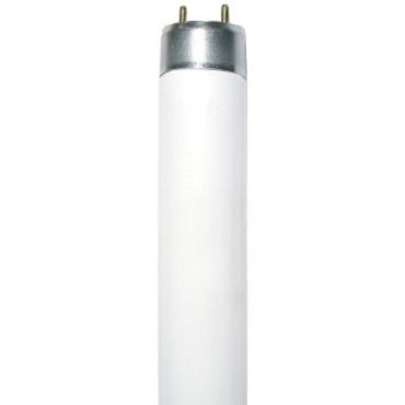 Λαμπτήρας Φθορίου G13 Fluorescent 58W 4000K T8 Diolamp