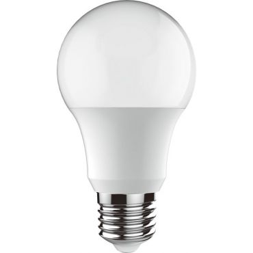LED lamp E27 A60 12W 6000K