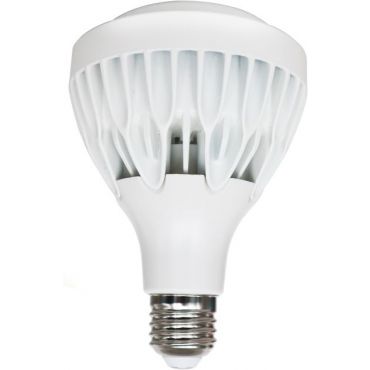 Λαμπτήρας LED E27 PAR30 25W 6000K Zoomable