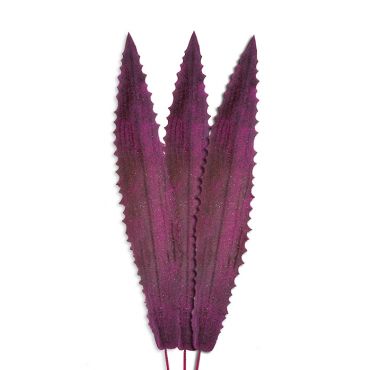 Φύλλο Αλόης Aloes