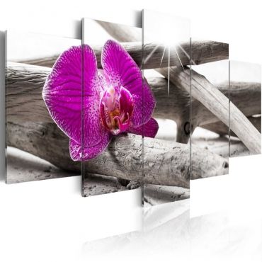 Πίνακας - Orchid on beach