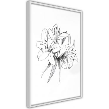 Αφίσα - Sketch of Lillies