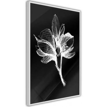 Αφίσα - White Plant