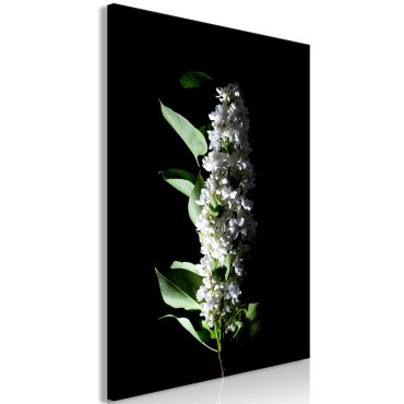 Πίνακας - White Lilacs (1 Part) Vertical