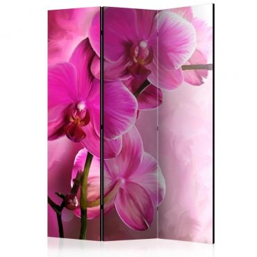 Διαχωριστικό με 3 τμήματα - Pink Orchid [Room Dividers]