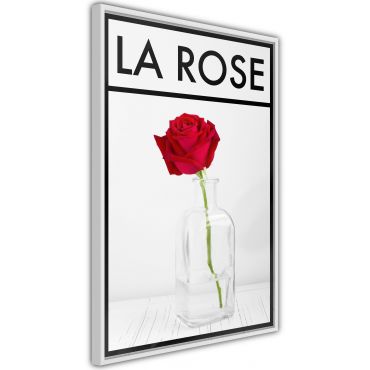 Αφίσα - Rose in the Vase
