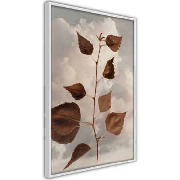 Αφίσα - Leaves in the Clouds