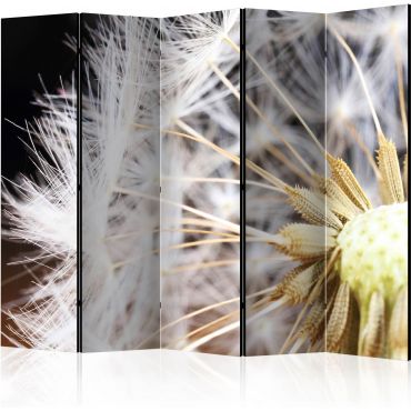 5-part divider - Fluffy dandelion II [Room Dividers]