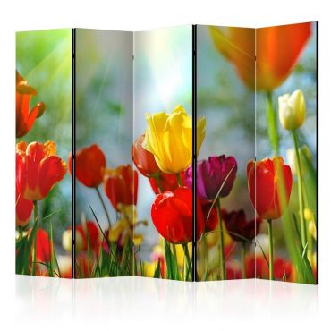 Διαχωριστικό με 5 τμήματα - Spring Tulips II [Room Dividers]