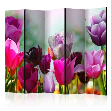 Διαχωριστικό με 5 τμήματα - Beautiful Tulips II [Room Dividers]