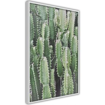 Αφίσα - Cactus Plantation
