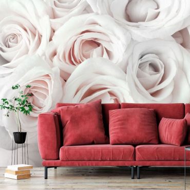 Self-adhesive photo wallpaper - Satin Rose (Pink)