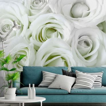Self-adhesive photo wallpaper - Satin Rose (Green)