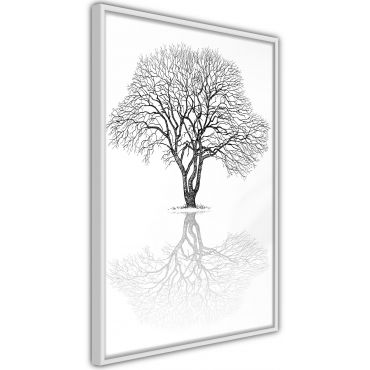 Αφίσα - Roots or Treetop?