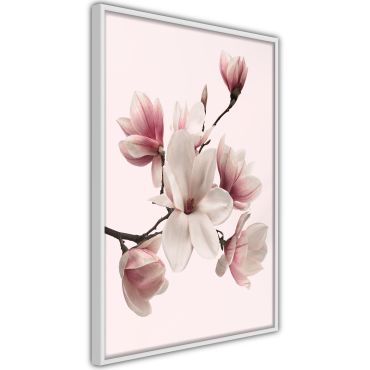 Αφίσα - Blooming Magnolias I