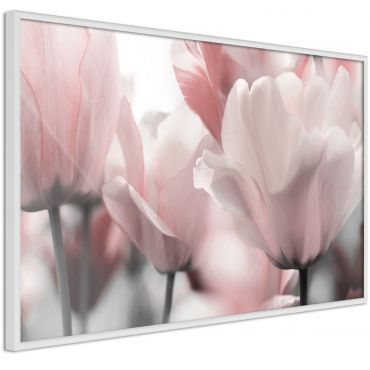 Αφίσα - Pastel Tulips II