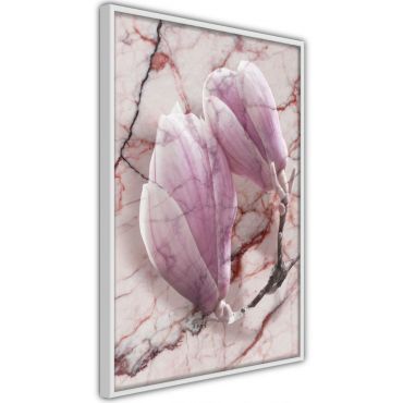 Αφίσα - Magnolia on Marble Background