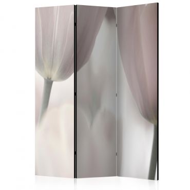 Διαχωριστικό με 3 τμήματα - Tulips fine art - black and white [Room Dividers]