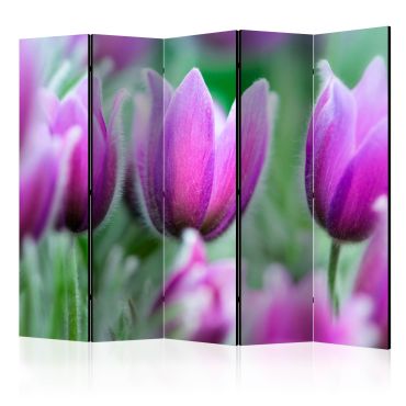 5-part divider - Purple spring tulips II [Room Dividers]