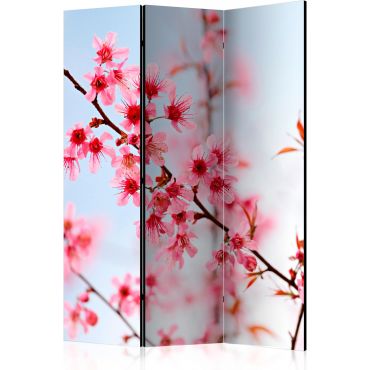 Διαχωριστικό με 3 τμήματα - Symbol of Japan - sakura flowers [Room Dividers]
