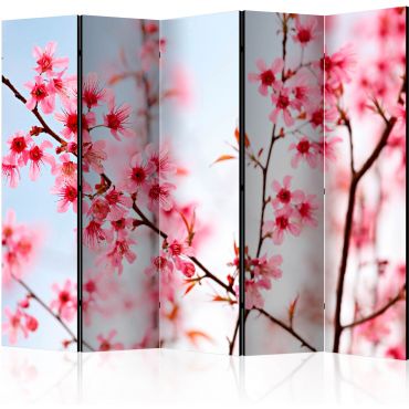 Διαχωριστικό με 5 τμήματα - Symbol of Japan - sakura flowers II [Room Dividers]