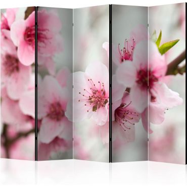 Διαχωριστικό με 5 τμήματα - Spring, blooming tree - pink flowers II [Room Dividers]