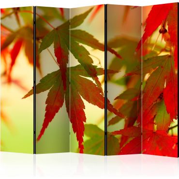 Partition with 5 sections - Colorful leaves II [Room Dividers]