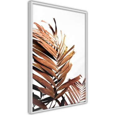 Αφίσα - Copper Palm